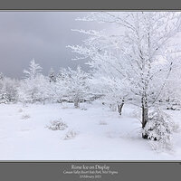 Rime Ice Display.jpg
