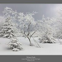 Winter Glade.jpg