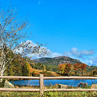 Scene Over the Fence