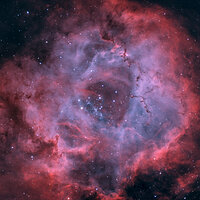 LRCC_sRGB_FW_Rosette_NBMixPSCC_HPS_SelC_PSCC_StarsFinal2-1_2x.jpg