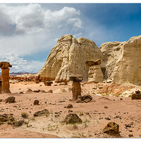Paria Toadstools