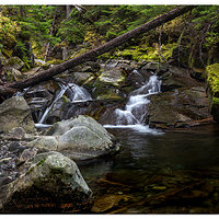 Paradise Creek Rapids