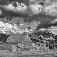 081007_mk3_3456 b&w.jpg