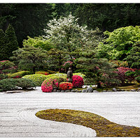 Spring at the Portland Japanese Garden.