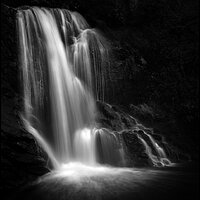 _DSC6534-1 1200 high wide white stroke.jpg