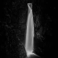 _DSC7640-1 no stroke.jpg