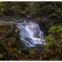Sweet Creek