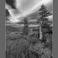 On Allegheny Front BW.jpg