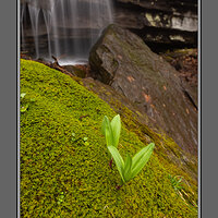 Ramps at Ramp Falls.jpg