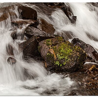 Wahkeena Falls - a Small Scene