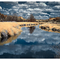 Salmon Creek