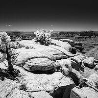 Cliff Dwellers