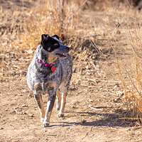 LRCC_sRGB_FW_Ellie_TAP_2215.jpg