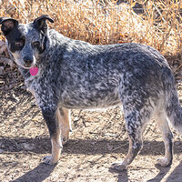 LRCC_sRGB_FW_Ellie_TAP_2198.jpg