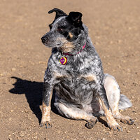 LRCC_sRGB_FW_Ellie_TAP_2222.jpg