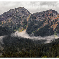 North Cascades N.P.