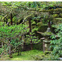 Portland Japanese Garden - The Tea Garden