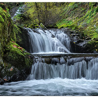 Sweet Creek - Punch Bowl Falls