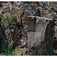 Columbia Hills Rock Art