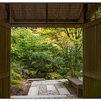 Gates To The Garden