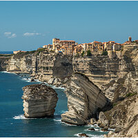_DSC6599-1.jpg