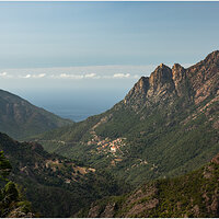 _DSC6142-1.jpg