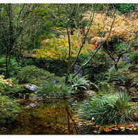 Portland Japanese Garden
