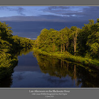 Late Afternoon Blackwater River.jpg