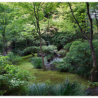 Portland Japanese Garden - Natural Garden