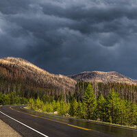 LRCC_sRGB_FW_RMNPDevastation_TAP_7287-CR3_DxO_DeepPRIME.jpg