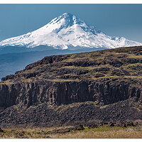 Columbia Basalts
