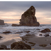 Harris Beach Marine Garden