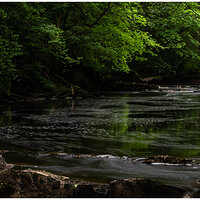 _DSC7240-1.jpg