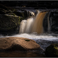 _DSC7388-1.jpg