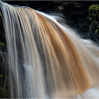 _DSC3295-1.jpg