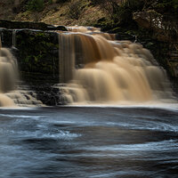 _DSC3259-1.jpg