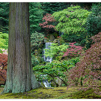 Spring at Heavenly Falls