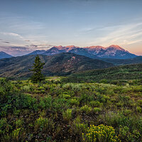 210724-25633-R5 uncrop.jpg