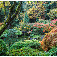Strolling Pond in Early Fall