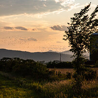Wind on the Hilltop