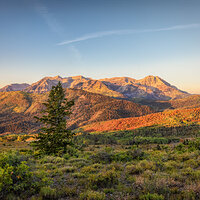 210924-26617-618 stack.jpg