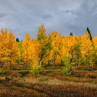211006-27037-R5.jpg