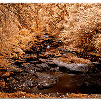 Anice Falls