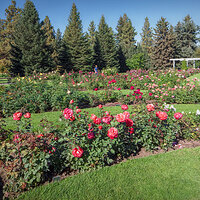 100929_mk3_1629.jpg