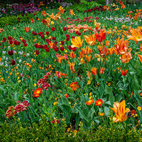 150502-1568-EOSM.jpg