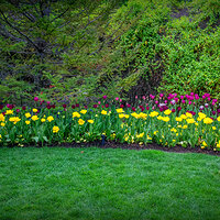 150502-1572-EOSM.jpg