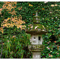 Portland Japanese Garden