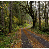 North Fork Rd