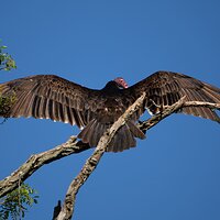 IMG_5354_3000.jpg
