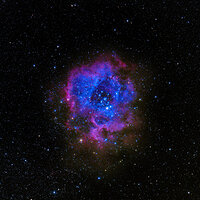 Rosette Nebula